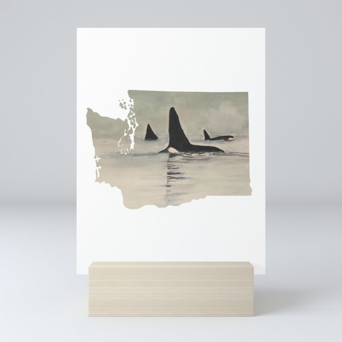 Washington State Salish Sea Orca Mini Art Print