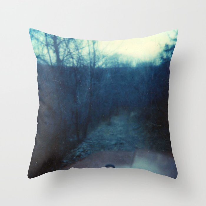 Dirt Road In The Woods Throw Pillow