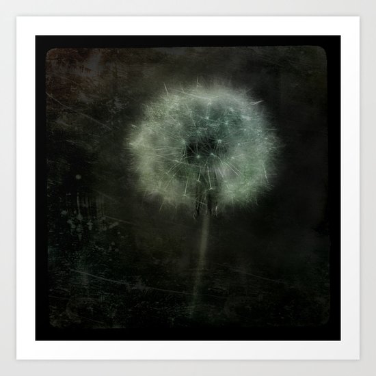 Lion's Tooth Art Print