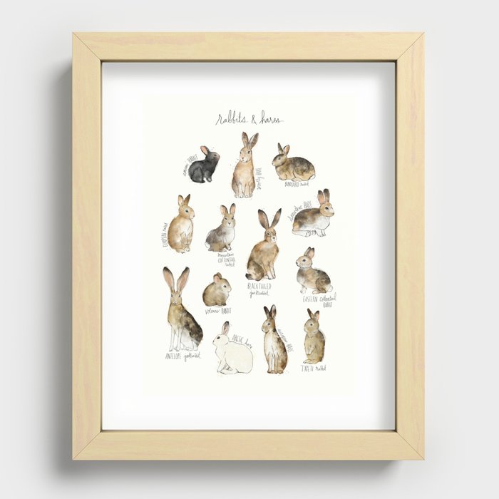 Rabbits & Hares Recessed Framed Print