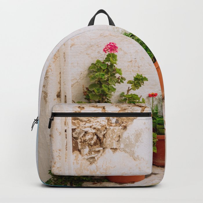 Greek Still Live with Plants | Colorful Travel Scene | Minimalistic Photography Backpack