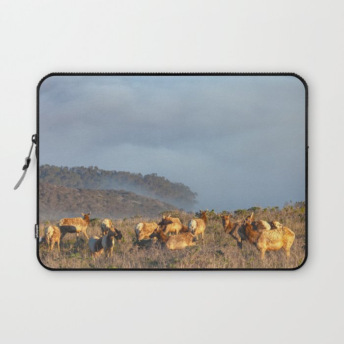 Elk Cow Herd Laptop Sleeve