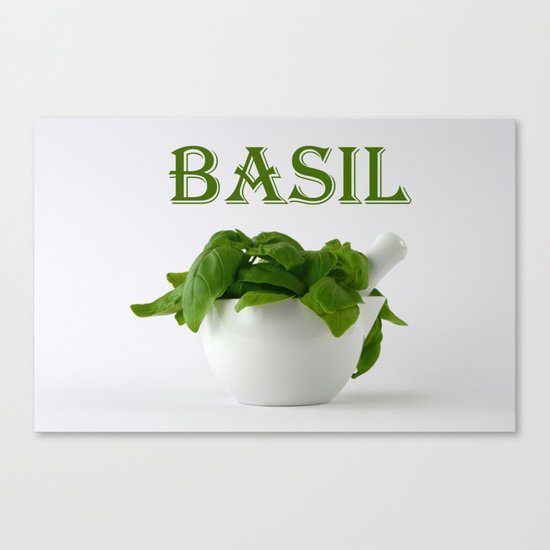 Basil Canvas Print