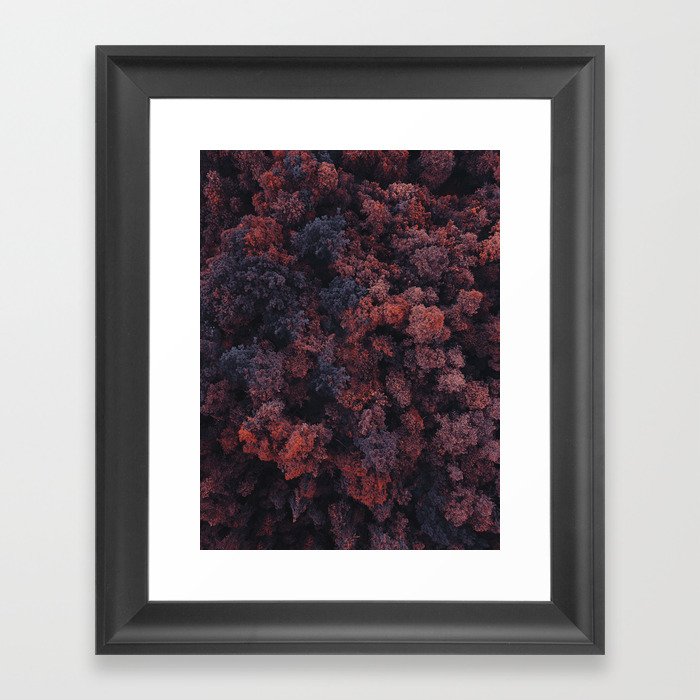 Red Forest | Aerial Photography  Framed Art Print