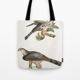 9 The Pigeon Hawk (Falco columbarius) 10 Coopers Hawk (Astur cooperi)  from Zoology of New York (184 Tote Bag
