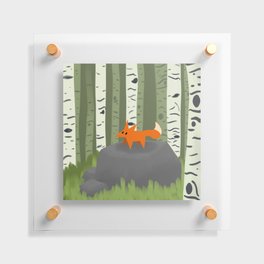 Fox Among Birches Floating Acrylic Print