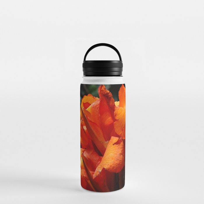 Sunset Petal Water Bottle