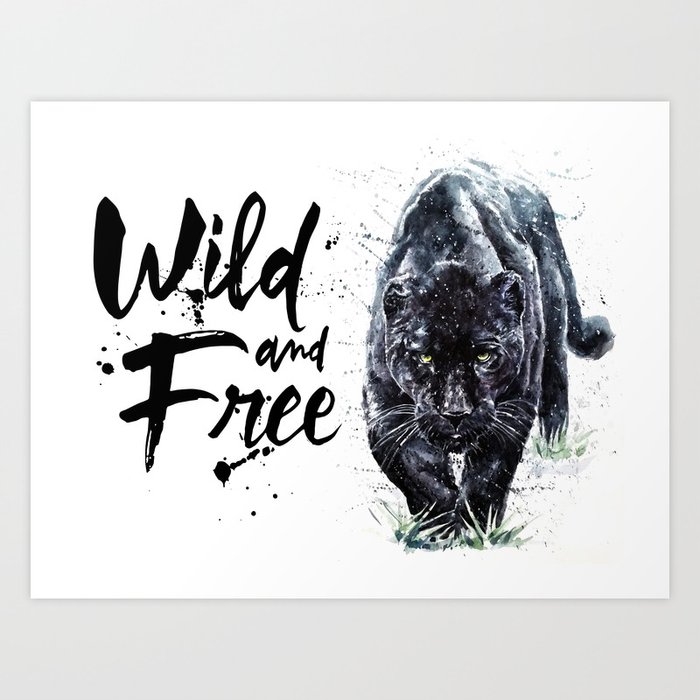 puma art