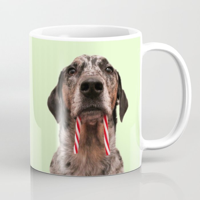 Candy Cane Lane - You Are What You Eat Coffee Mug