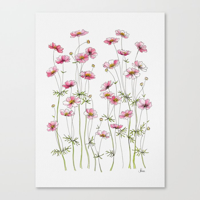Pink Cosmos Flowers Canvas Print