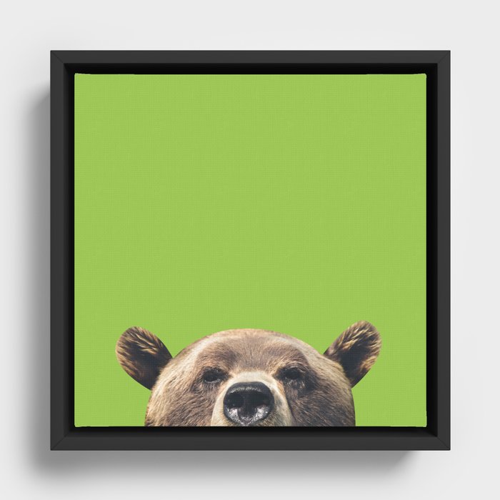 Bear - Green Framed Canvas