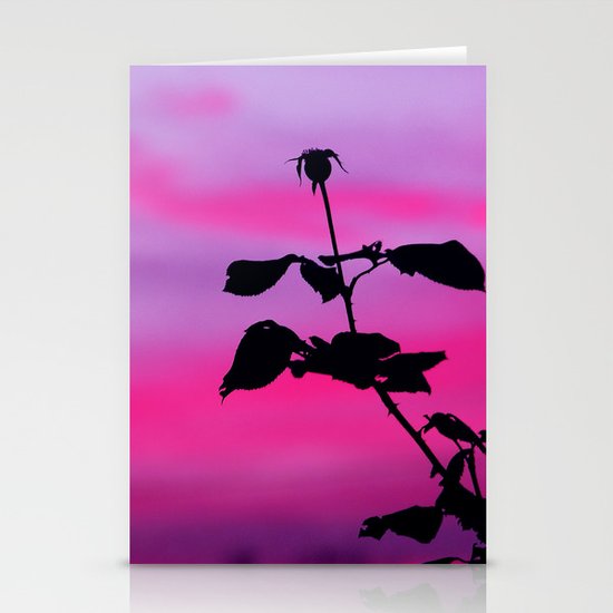The Sunset of a Rose Stationery Cards