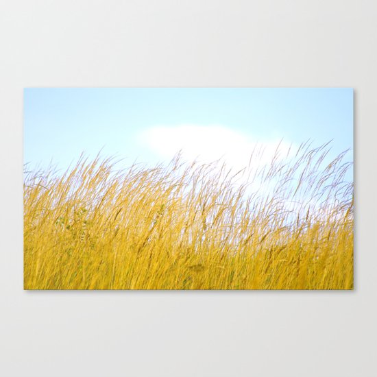 Daydream Canvas Print