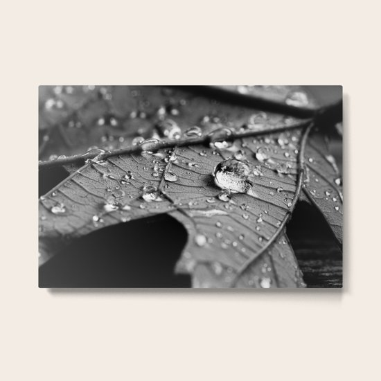 fallen Metal Print