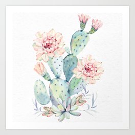 Succulent Cactus Flowers Art Print