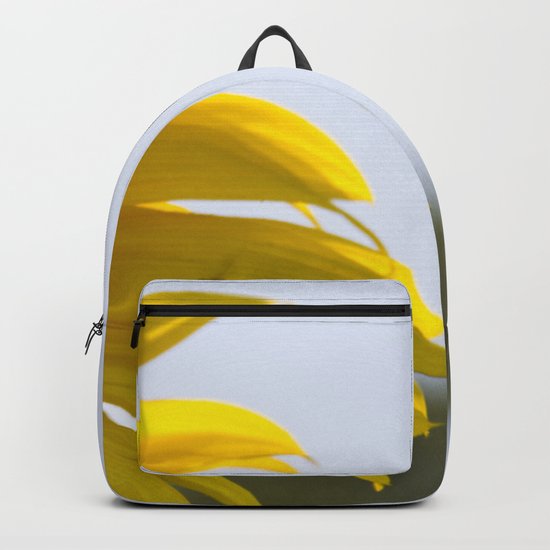 Approaching the Target Backpack
