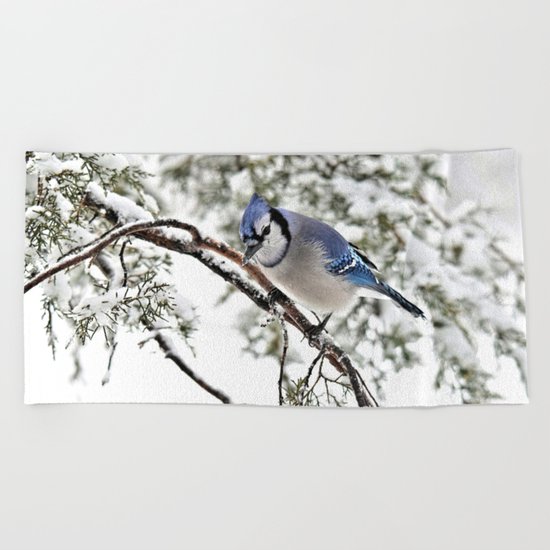 April Fools' Jay Beach Towel