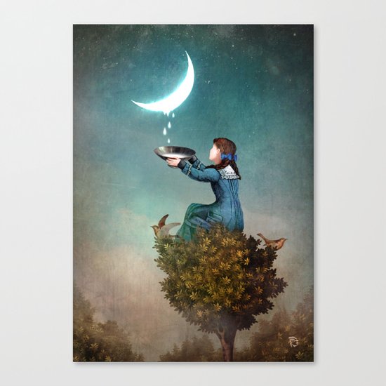 Moondrops Canvas Print