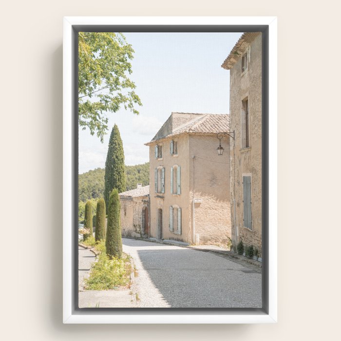 Framed Canvas