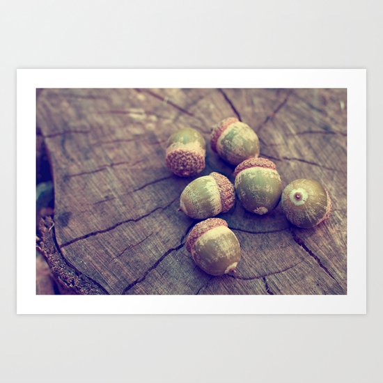 acorns Art Print