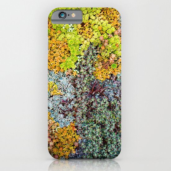 Wall of Succulents iPhone & iPod Case
