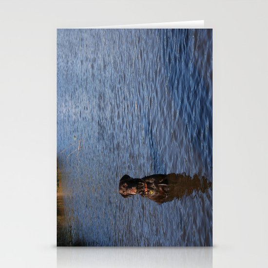 Wet Dog Stationery Cards