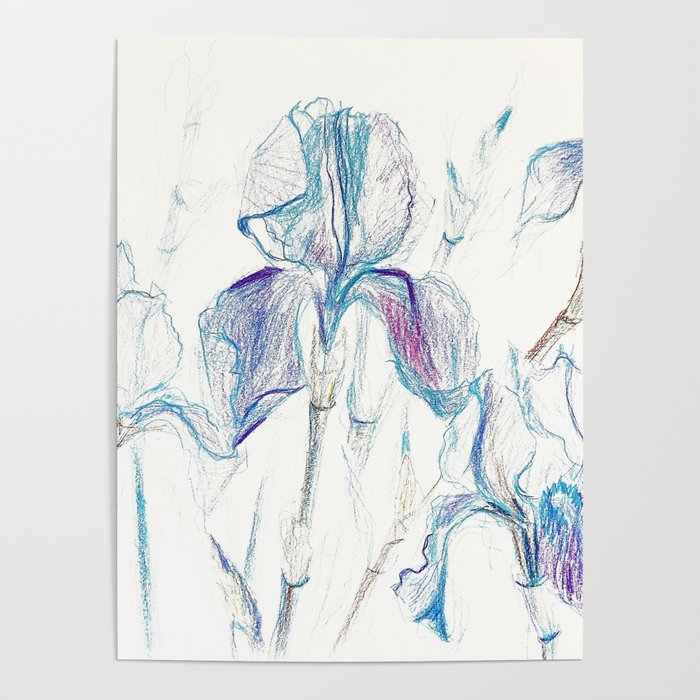 Blue Irises: An Exquisite and Serene Aquarelle Artwork Poster