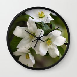 White flowers of apple trees on the branch Wall Clock