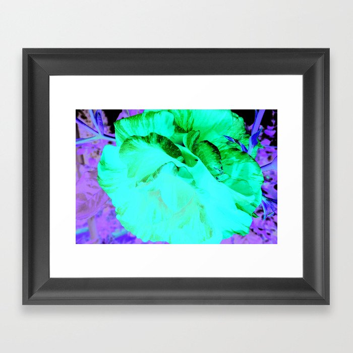 Backlit Flower Framed Art Print