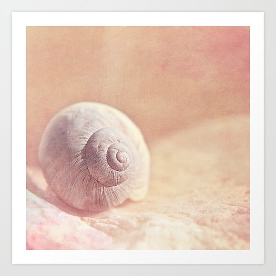 APRICOTEE - Monochrome still life with pink snail shell Art Print