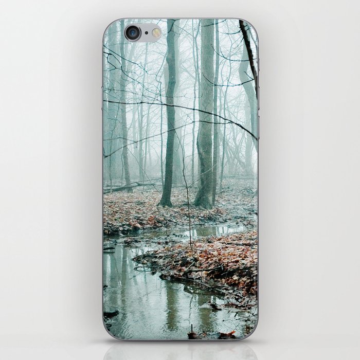 Gather up Your Dreams iPhone Skin
