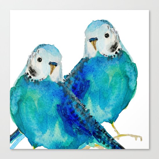 Budgie couple Canvas Print