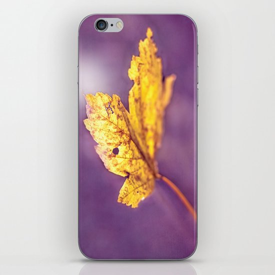 MAPLE iPhone & iPod Skin