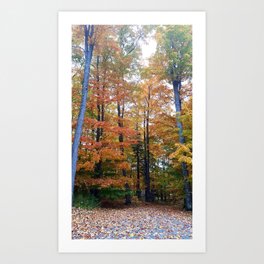 Autumn landscapes  Art Print