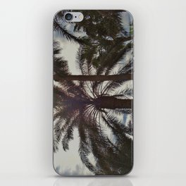 Palm Trees iPhone Skin