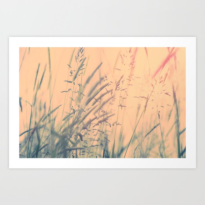 Meadow Art Print