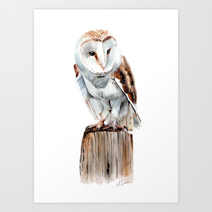 Barn Owl Watercolour Painting Art Print By Kieran13 Society6