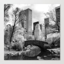 Central Park Bridge. Canvas Print