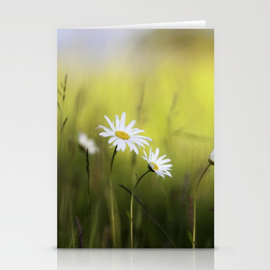 Daisy Landscape Stationery Cards