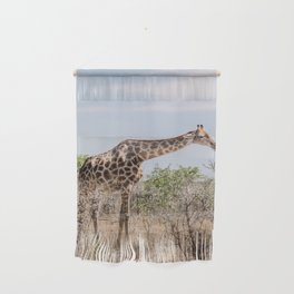 Giraffe in Africa | Wildlife photographer | Wall Hanging