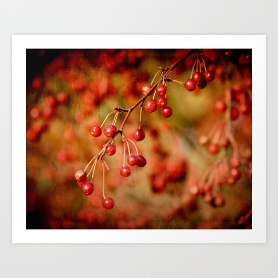 Cranberries Art Print