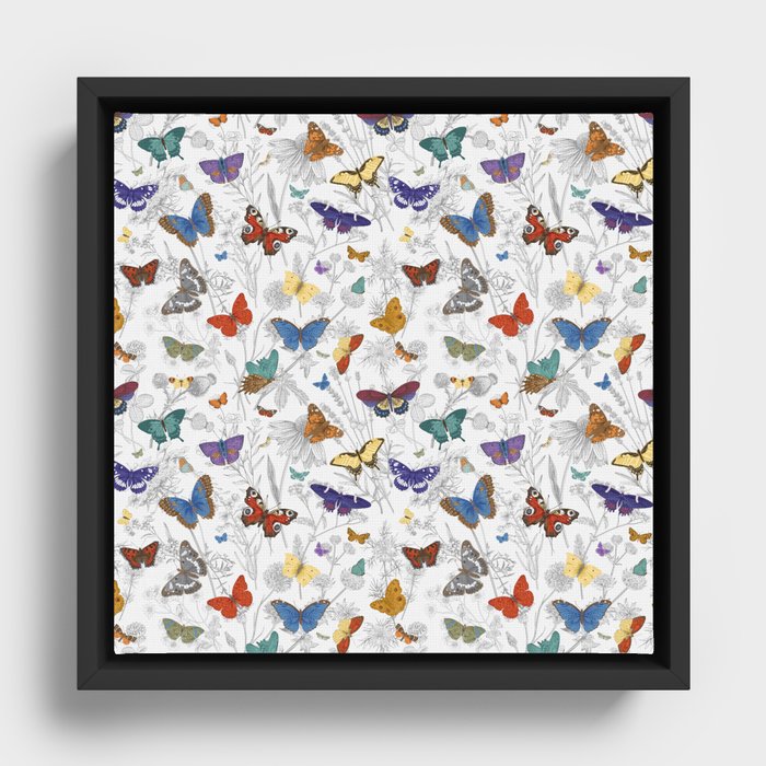 Framed Canvas