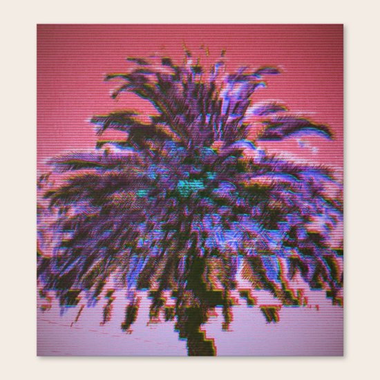 Palm Canvas Print