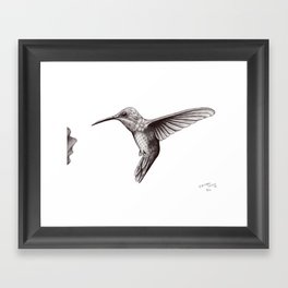 Brother Hummingbird Framed Art Print