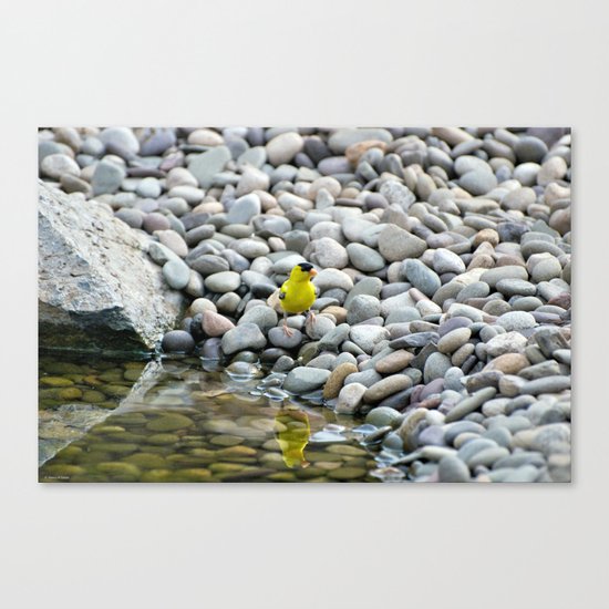 Golden Reflections Canvas Print