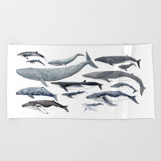 Whale diversity Beach Towel
