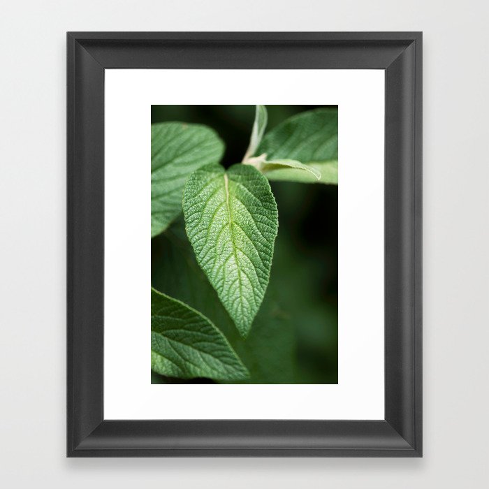 Textured Sage Leaf Framed Art Print