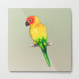Sun conure Metal Print | Ink, Parakeet, Digital, Conure, Green, Sunconure, Bird, Painting, Orange, Sun 