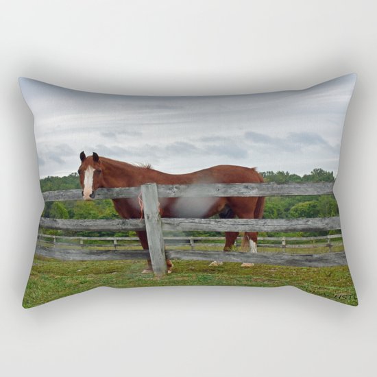 Horse Time Rectangular Pillow