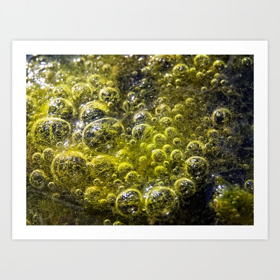 Limo Art Print